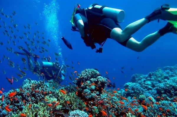 Mergulho em Bombinhas Destino Florianópolis Passeios Aventuras em