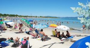 Leia mais sobre o artigo Praia da Daniela – Norte da Ilha – Floripa