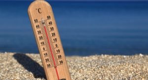 Leia mais sobre o artigo As melhores épocas do ano para visitar Florianópolis