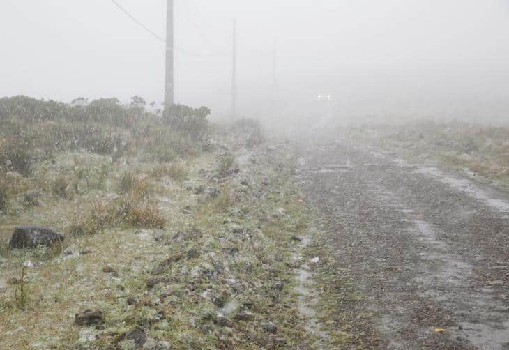 NEVOU: Santa Catarina registra neve nesta sexta-feira!