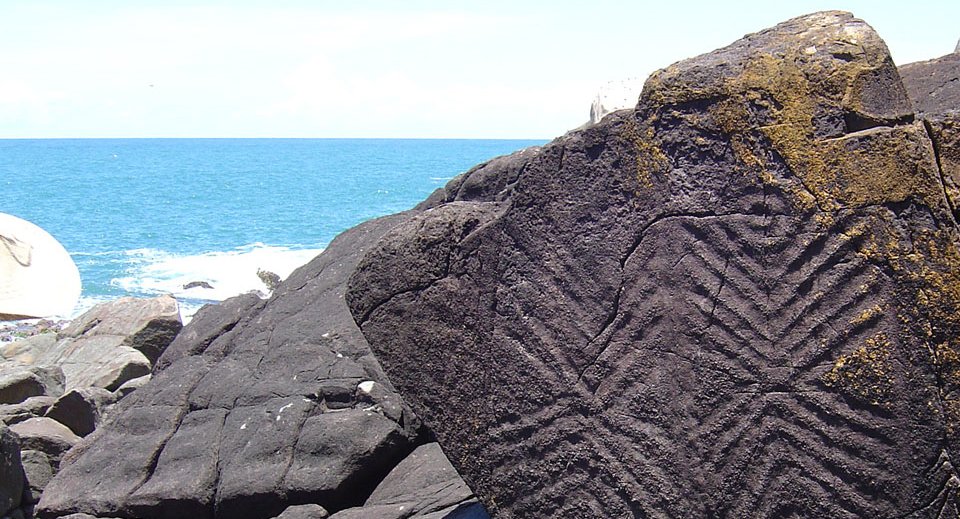 Ilha do Campeche: Como fazer este Passeio, Informações e Reserva Aqui.