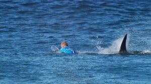 Leia mais sobre o artigo Site lista as 7 praias mais PERIGOSAS do mundo