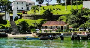 Leia mais sobre o artigo 3 Motivos para fazer o Passeio para Ilha de Anhatomirim e avistar golfinhos