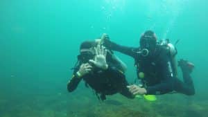 Leia mais sobre o artigo Passeio de Barco com Mergulho Ilha do Arvoredo