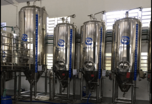 Leia mais sobre o artigo 08 Lugares imperdíveis para você conhecer em NOVA TRENTO-SC