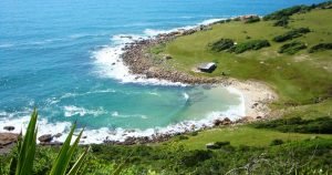 Leia mais sobre o artigo Trilha da Pinheira à Guarda do Embaú – “esta é Especial’