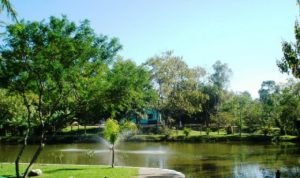 Leia mais sobre o artigo Parque Ecológico Córrego Grande