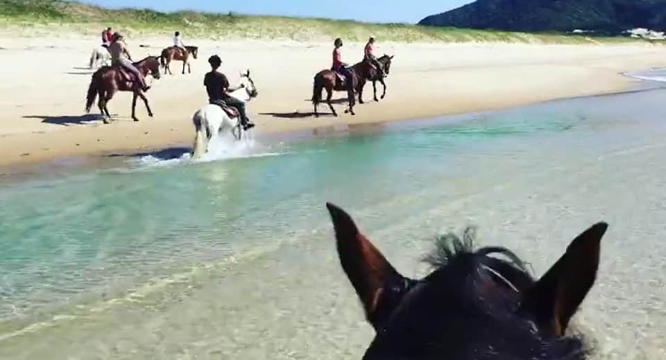 passeio a cavalo em florianópolis