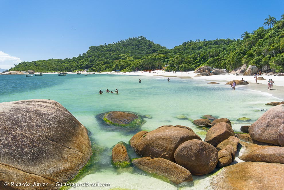 Ilha Do Campeche Como Chegar Quando Ir O Que Fazer E Mais Dicas úteis 