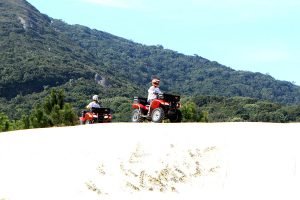 Leia mais sobre o artigo 4 passeios para fazer em Florianópolis no inverno