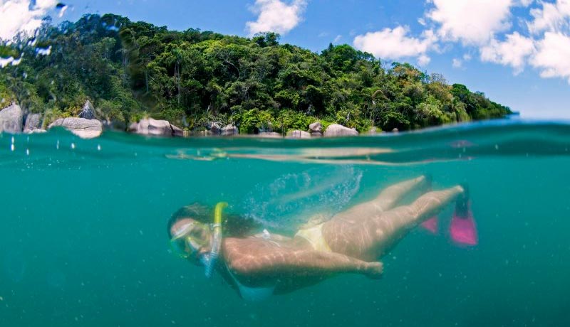 Quais as melhores épocas do ano para mergulhar em Florianópolis?