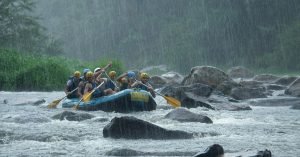 Leia mais sobre o artigo 3 passeios para fazer em Florianópolis em dias de chuva