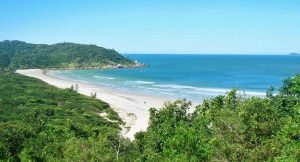 Leia mais sobre o artigo 5 praias secretas em Florianópolis para conhecer nesse verão 2019