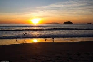 Leia mais sobre o artigo Praia de Palmas Governador Celso Ramos